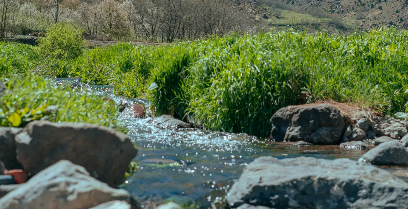 alpha-plus-l09G6qx851k-unsplash-1