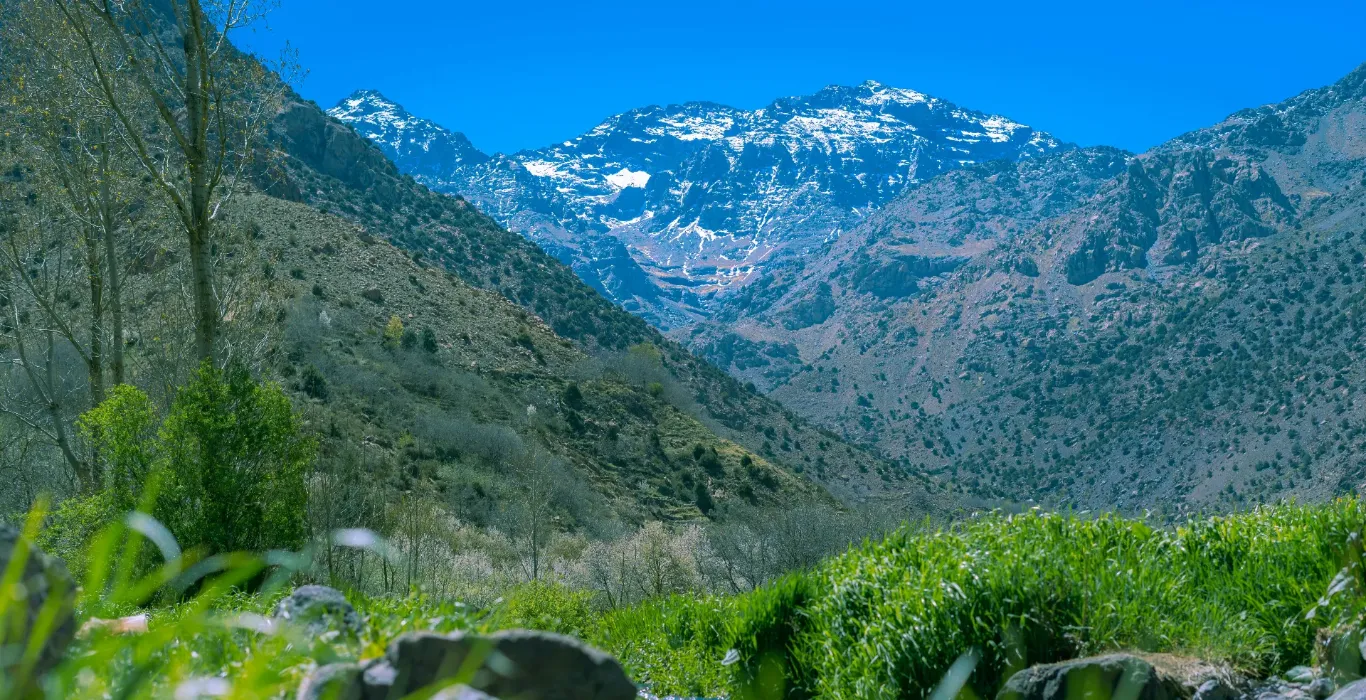 alpha-plus-wmwnqKDZHfo-unsplash-1-1