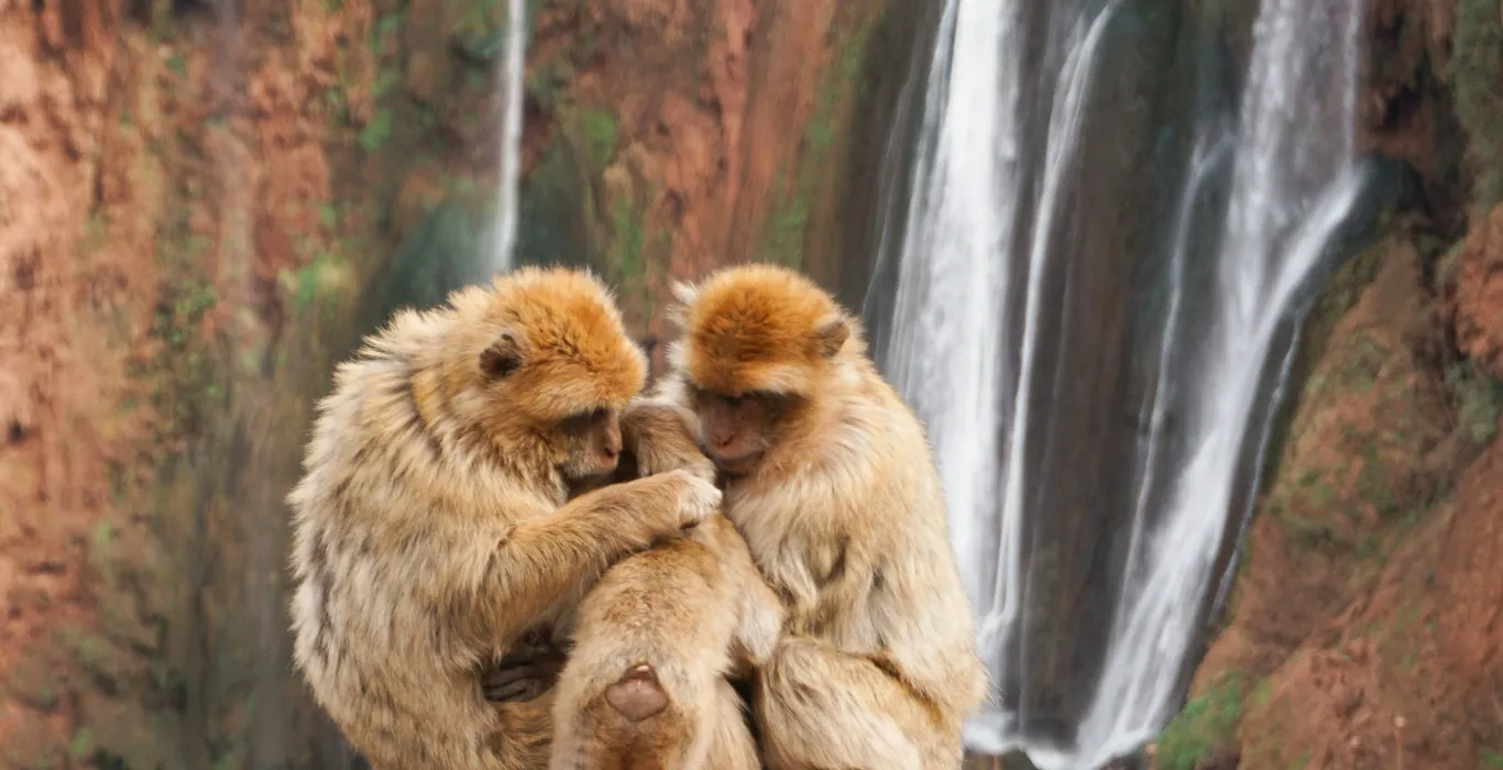 danai-tsoutreli-tqLc6On9KIA-unsplash