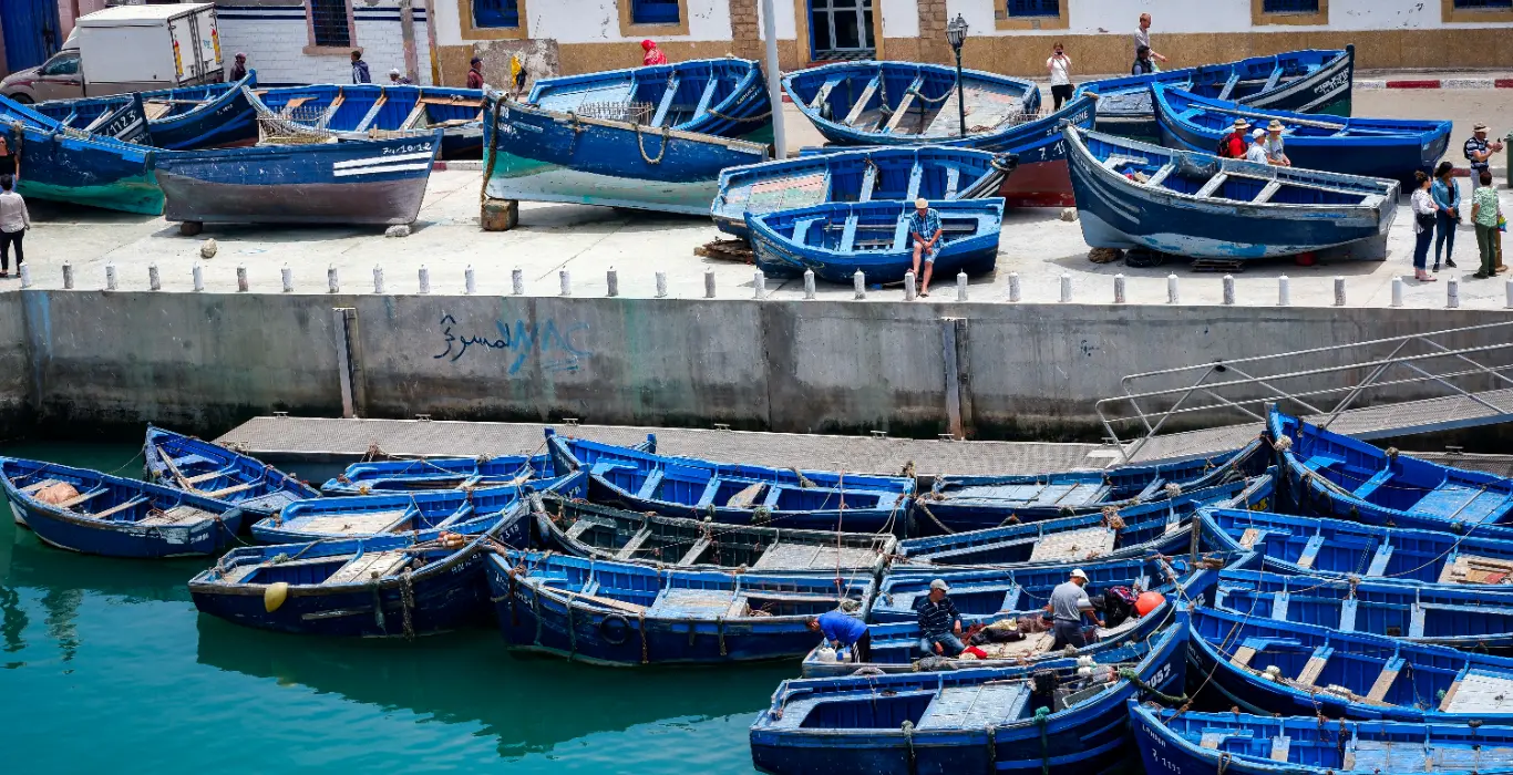 emma-van-sant-OQT24ujdL9M-unsplash-cropped