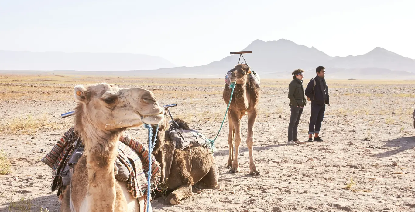 Sahara Per Tutti gabriele-stravinskaite-gStG3XkIXpc-unsplash-cropped