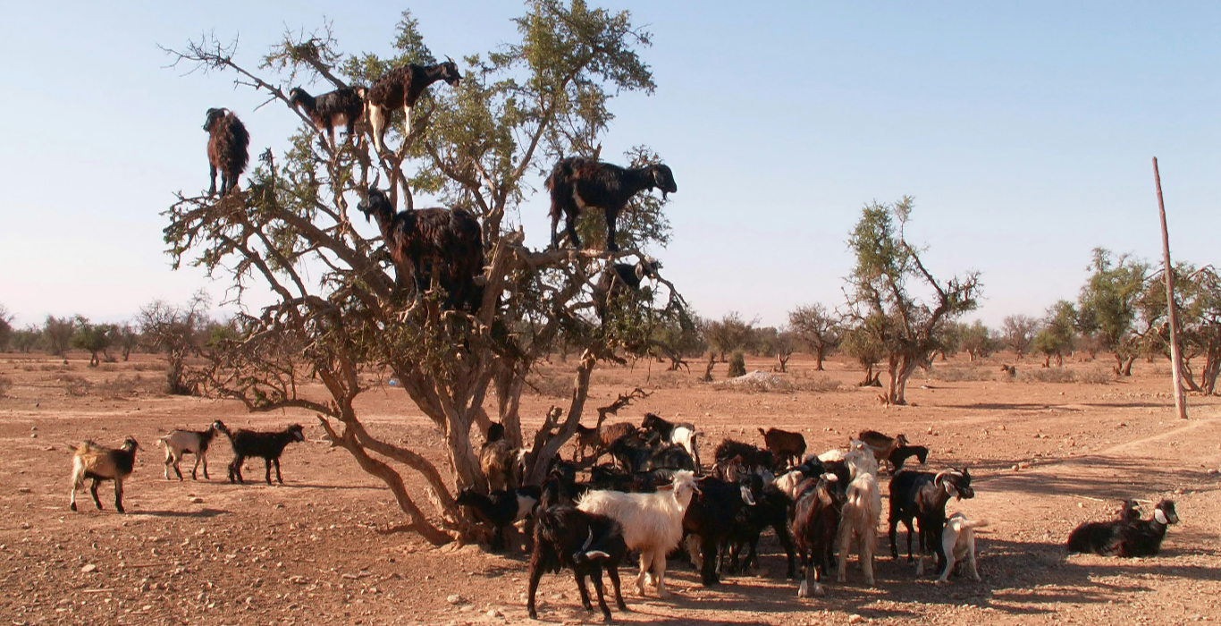 jean-gerrekens-YLKo_3lntGY-unsplash