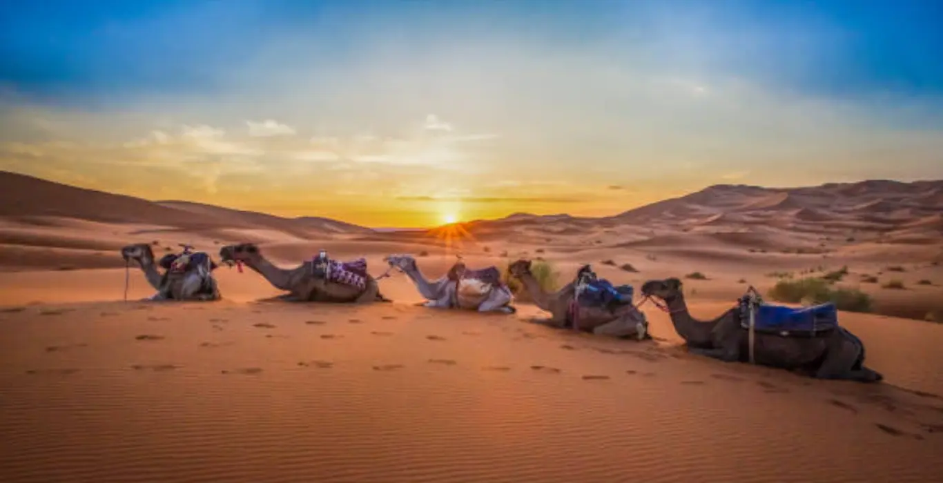 Sahara Per Tutti low_quality-qiEuYGgy6I-cropped