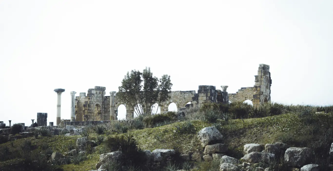 Sahara Per Tutti mouad-bouallayel-l3ykxgvaVb4-unsplash-cropped