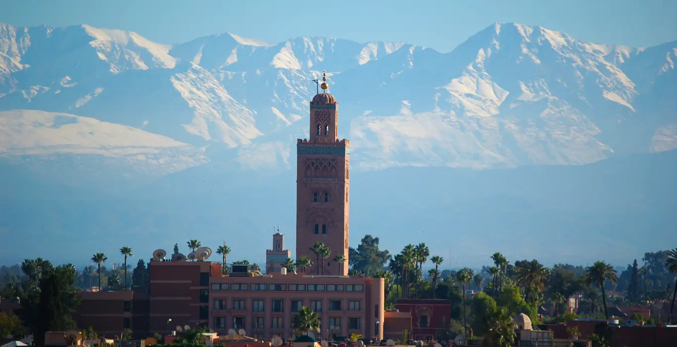 Sahara Per Tutti paul-macallan-CFKksjYRSQ8-unsplash-cropped