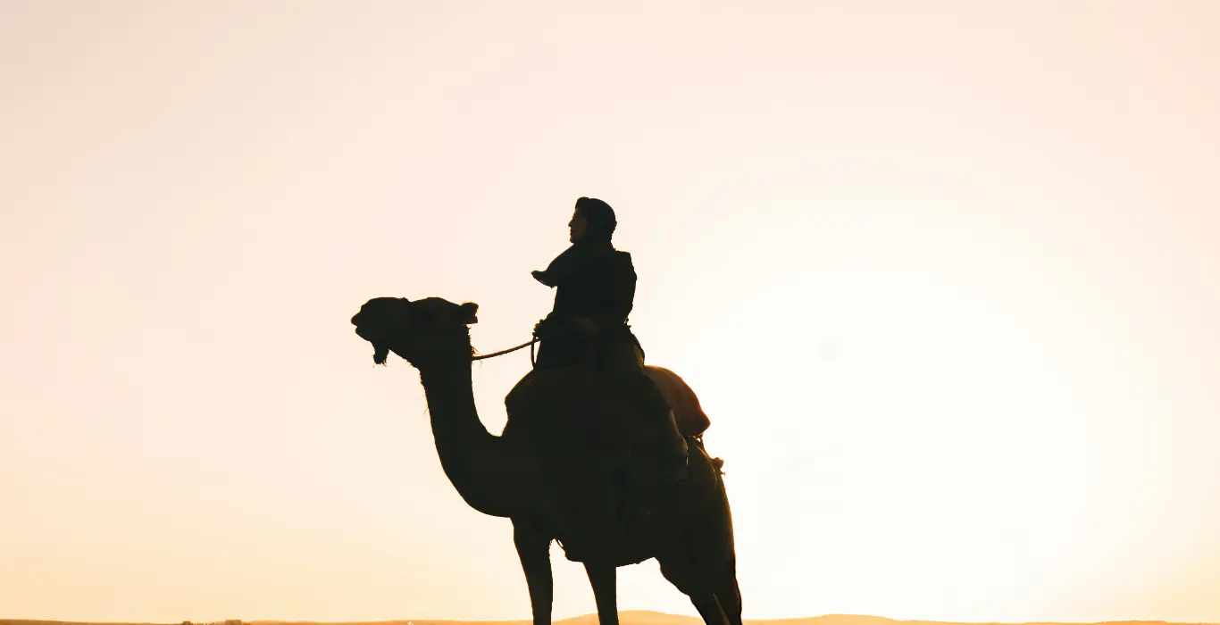 Sahara Per Tutti peter-thomas-z7-u7CdJXsM-unsplash-cropped