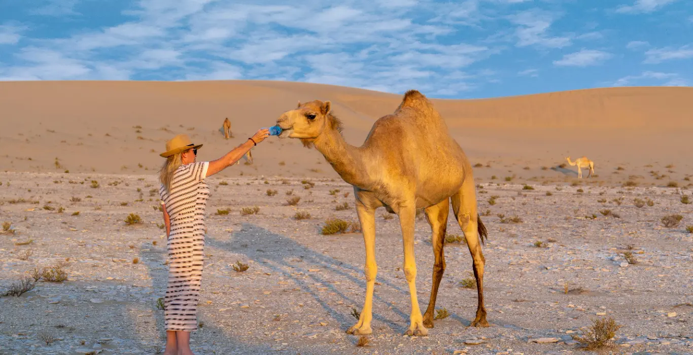 Sahara Per Tutti pexels-chris-clark-1933184-5604883-cropped