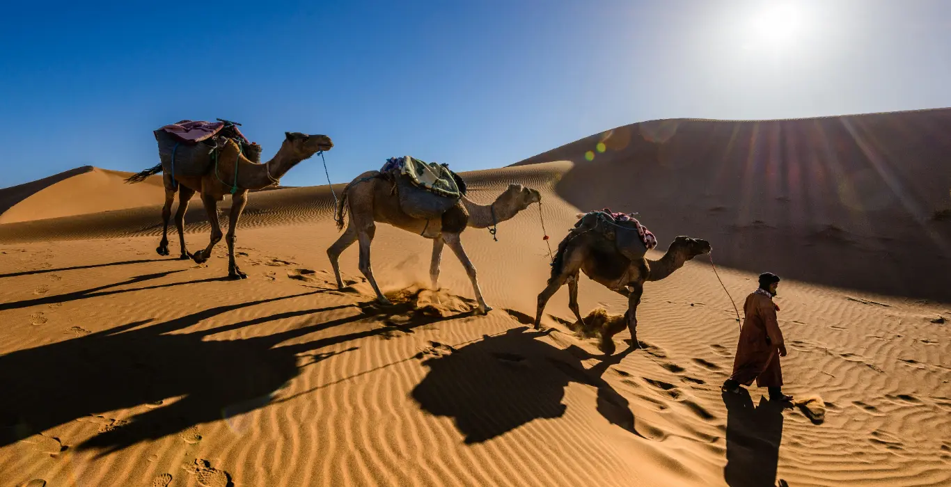 Sahara Per Tutti pexels-sergey-pesterev-69811391-8428013-cropped