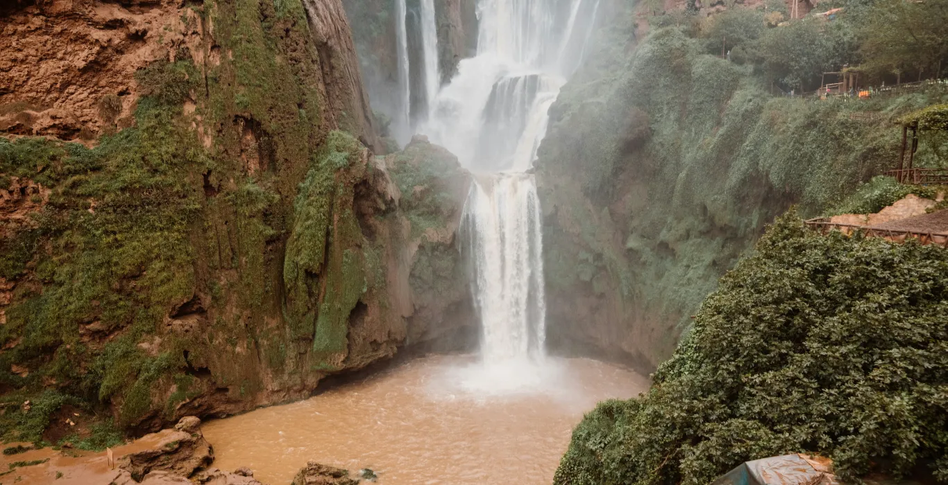 rihards-sarma-mJGl8l1SiJk-unsplash