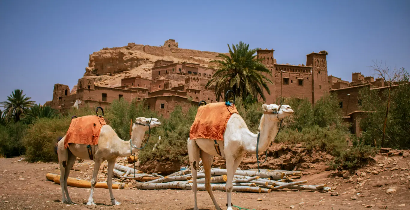 Sahara Per Tutti sebastiano-corti-hFHt6MtHn84-unsplash-cropped