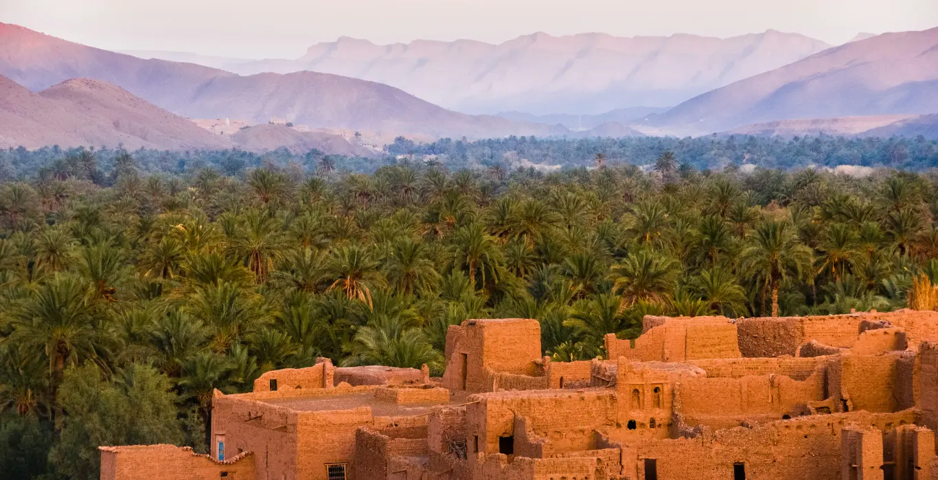 Sahara Per Tutti sergey-pesterev-i-P1lmY_e1w-unsplash-cropped