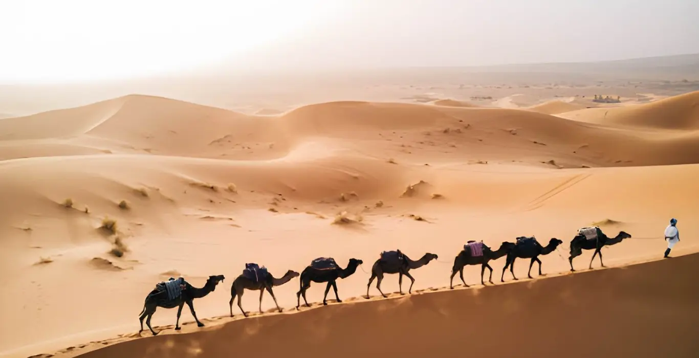 Sahara Per Tutti steptodown.com181172-cropped