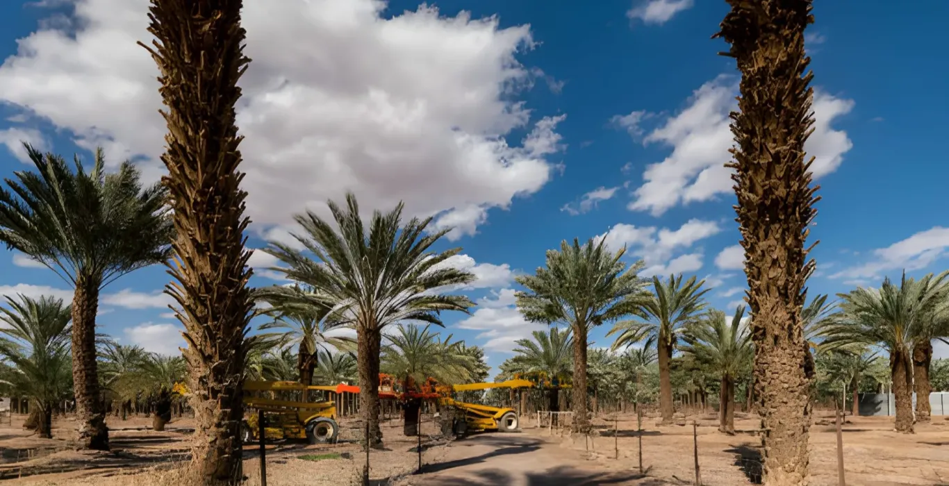 steptodown.com405958-1