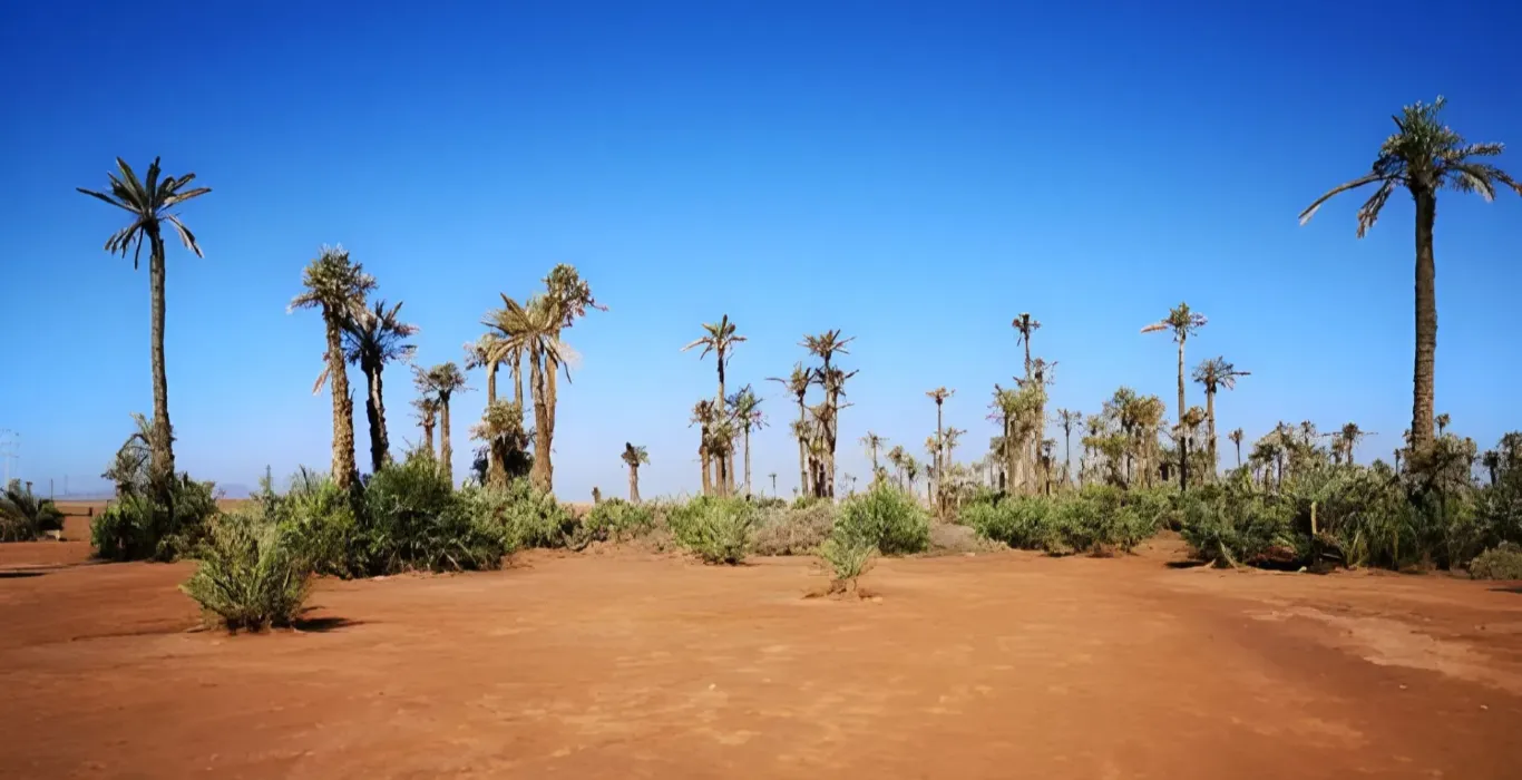 steptodown.com456848-1