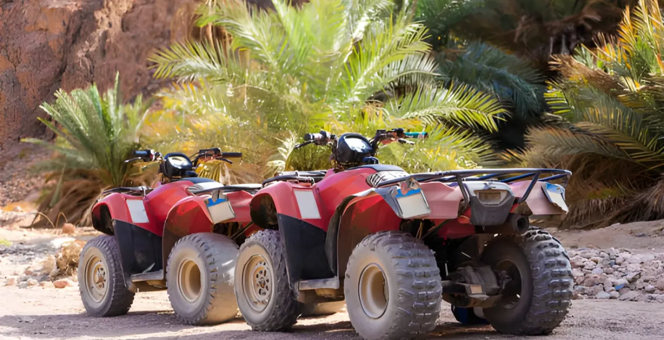 steptodown.com473904-1