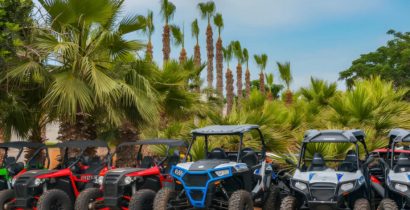 steptodown.com543289-1