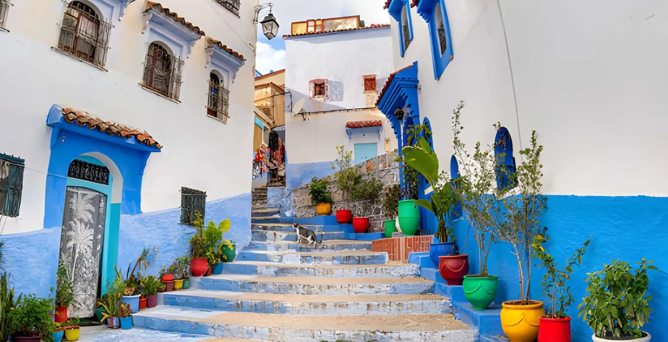 Sahara Per Tutti steptodown.com544779-cropped