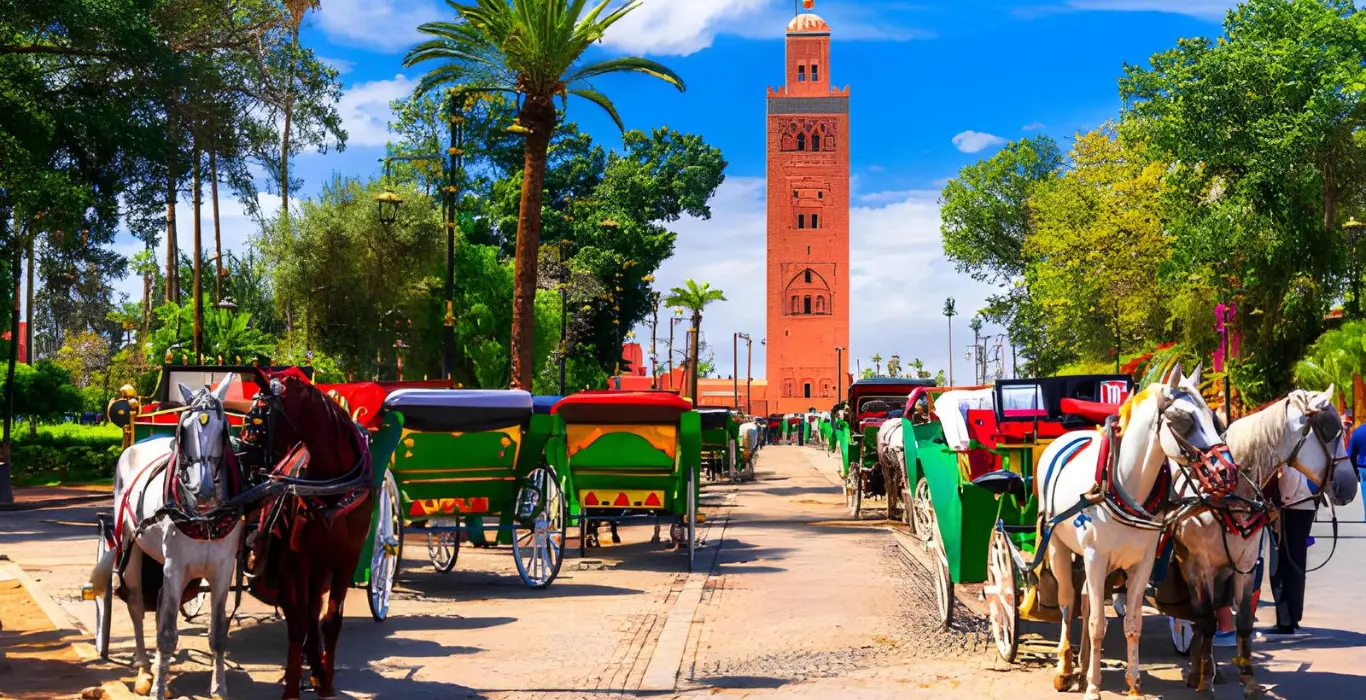 Tour della Città di Marrakech di Mezza Giornata