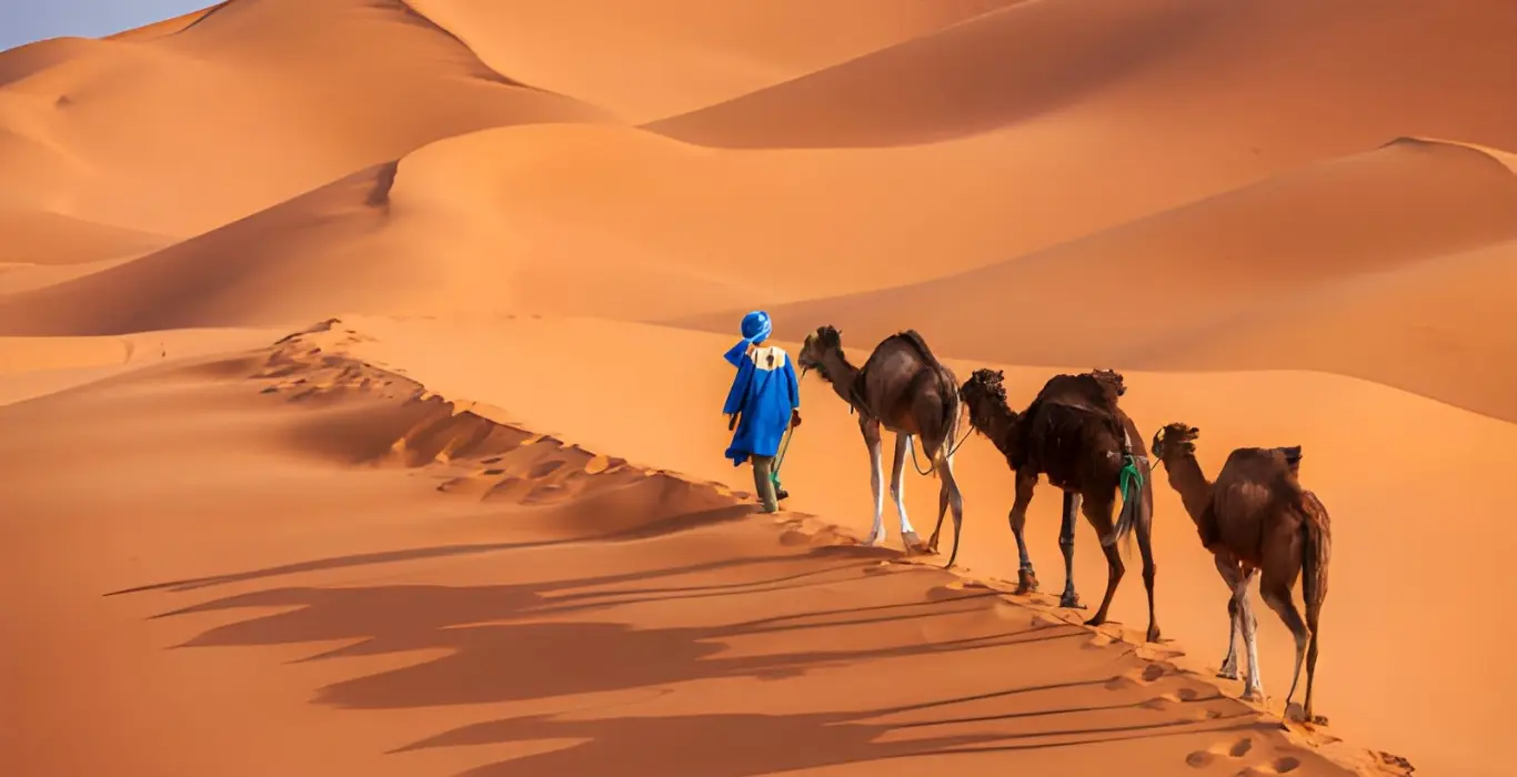 Sahara Per Tutti steptodown.com739545-cropped