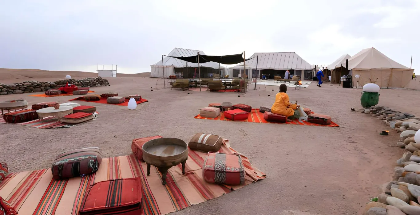 steptodown.com848928