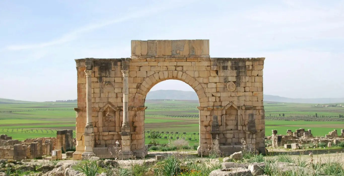 Sahara Per Tutti yao-bros-m5p9yMHr0U8-unsplash-cropped