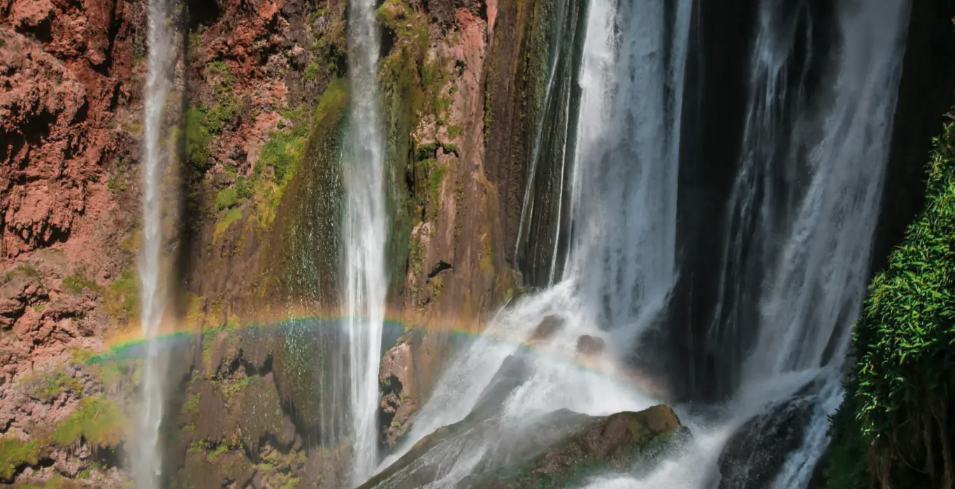 zakaria-zayane-syTyfhKKDBE-unsplash-cropped