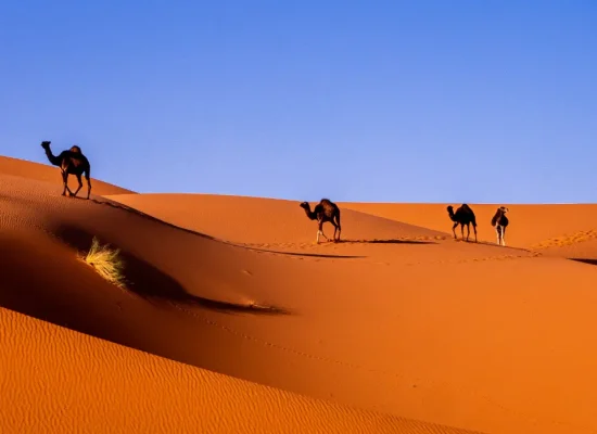 Tour di 4 Giorni da Fes a Marrakech via Deserto di Merzouga e Ouarzazate
