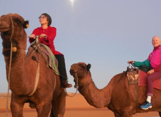 fargoflyer-rabat-morocco-2322561_1920-cropped