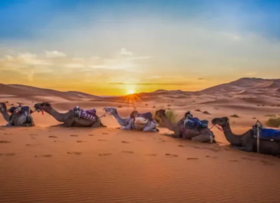 low_quality-qiEuYGgy6I-cropped