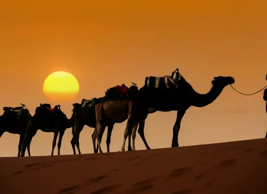 mehdi-el-marouazi-nqqH7np9JGk-unsplash-cropped