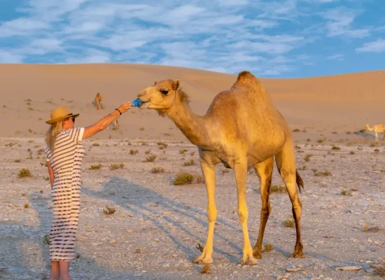 pexels-chris-clark-1933184-5604883-cropped