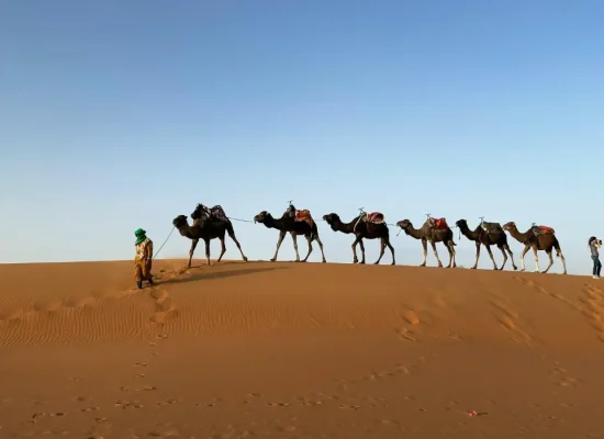 pexels-kristen-haennel-2149718872-30757359-cropped