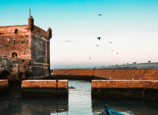 Escursione Giornaliera a Essaouira da Marrakech