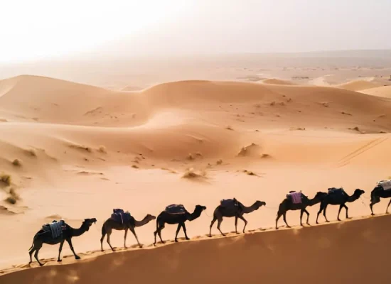 steptodown.com181172-cropped