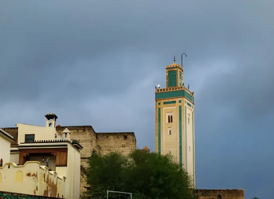 steptodown.com212556-cropped