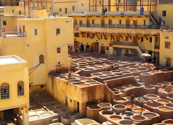 steptodown.com258509-cropped