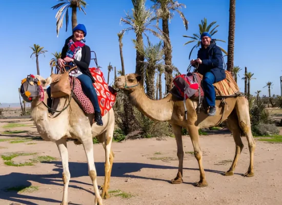Passeggiata in Cammello nella Palmeraie di Marrakech: 2 Ore di Cultura e Natura