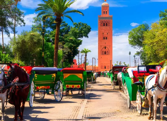 Tour della Città di Marrakech di Mezza Giornata