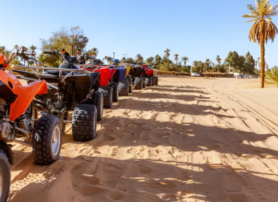 Escursione in Quad nel Palmeraie di Marrakech: 2 Ore